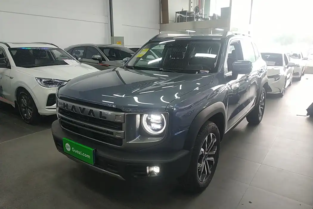 Haval Big Dog 2024 1.5T DCT Border Shepherd Version