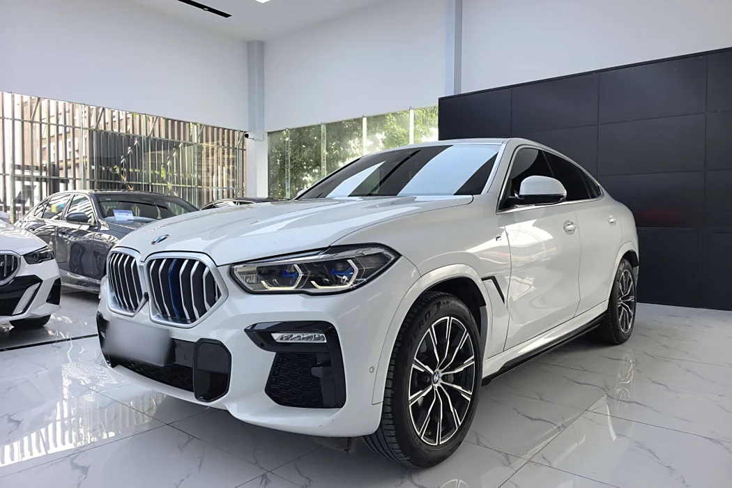 BMW X6 2020 xDrive40i M Sport Package