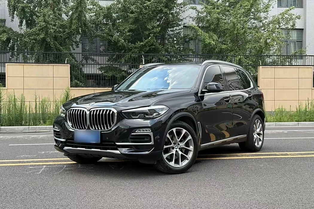 BMW X5 (Import) 2019 xDrive30i X Design Package