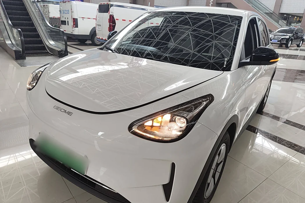 Geely Automobile Star Wish 2025 310km Youth Edition