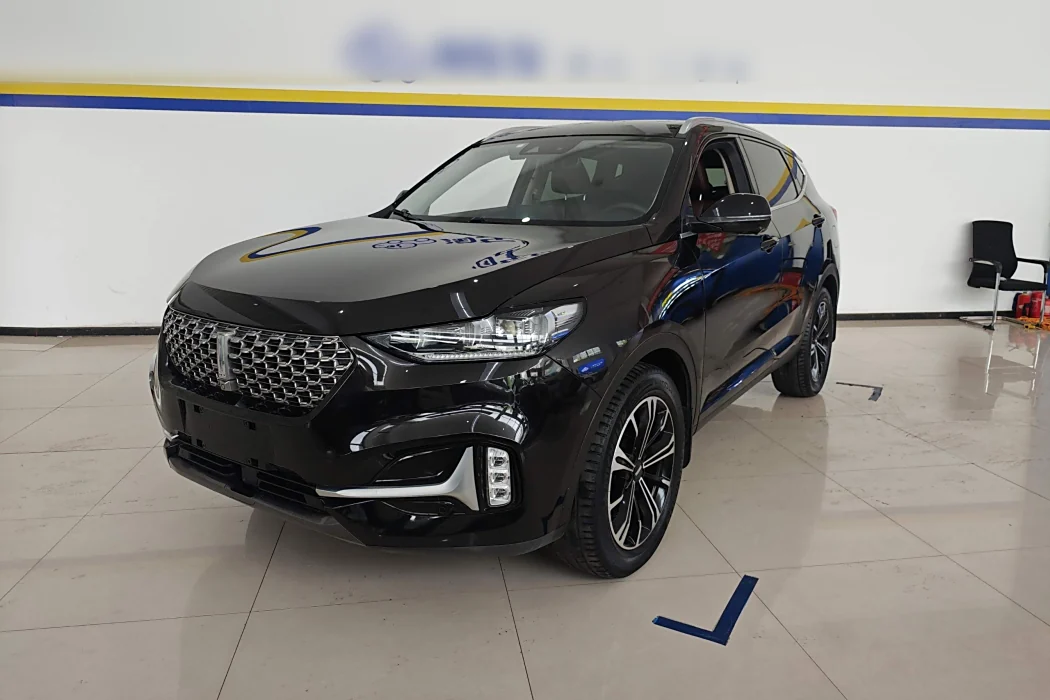Wei brand VV6 2021 2.0T two-wheel drive smart protection+