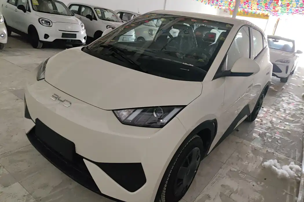 BYD Seagull 2025 Smart Driving Version 305km Vitality Version