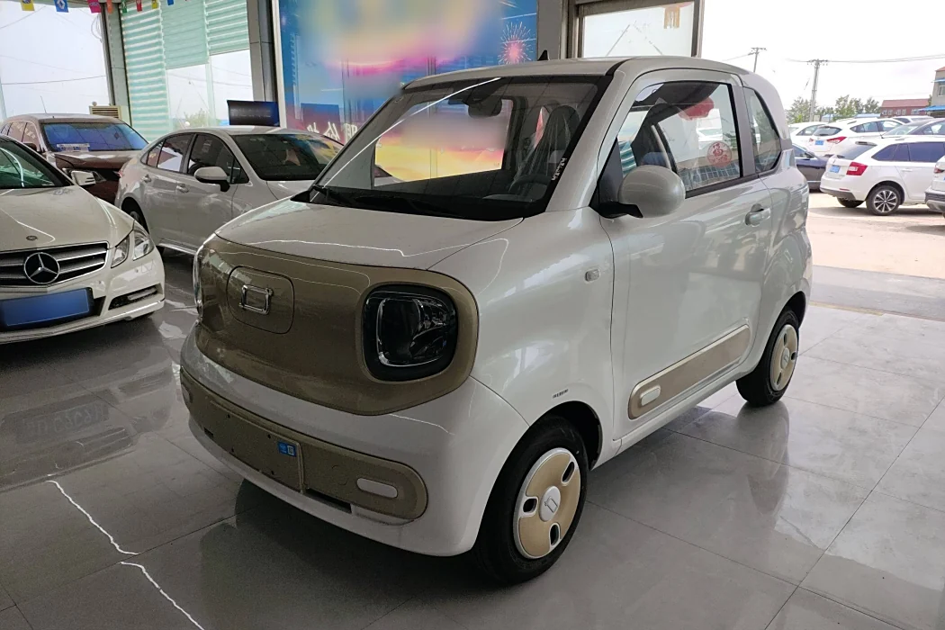 Pentium Pony 2025 222km Smart Horse