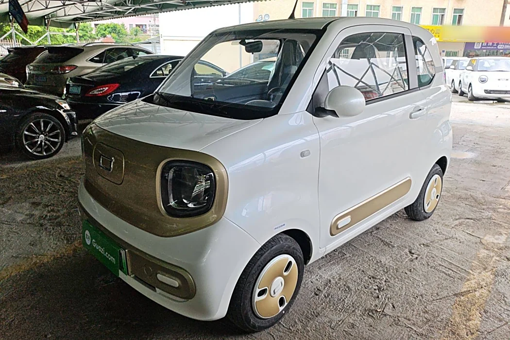 Pentium Pony 2025 222km Smart Horse
