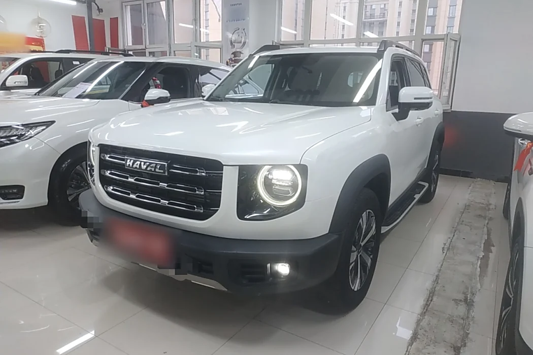 Havoc Big Dog 2021 1.5T DCT 2WD Labrador Edition