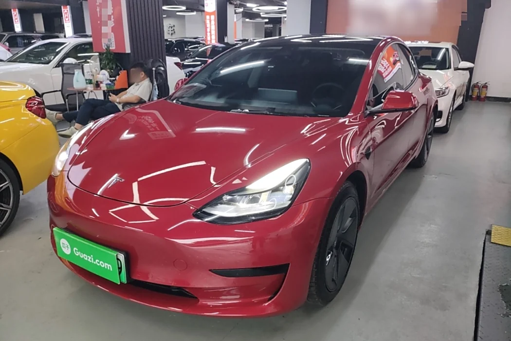 Tesla Model 3 2021 Standard Range Rear Drive Upgrade 3D6