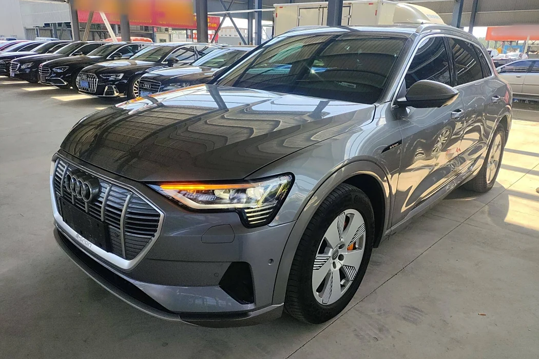 Audi e-tron (import) 2019 55 quattro stylish