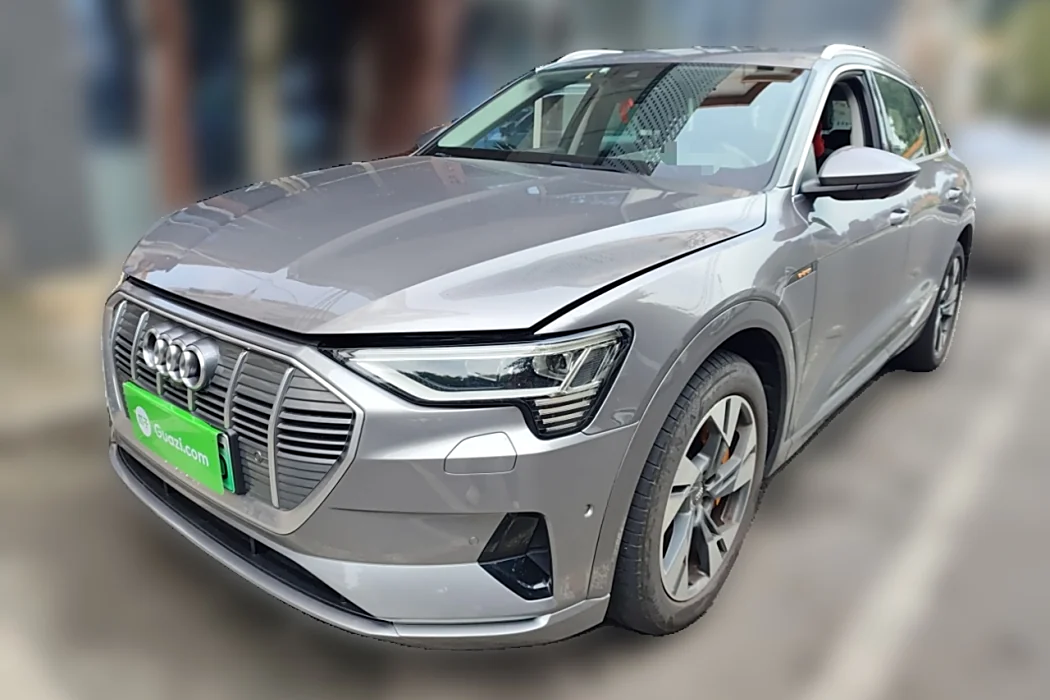 Audi e-tron (import) 2019 55 quattro stylish