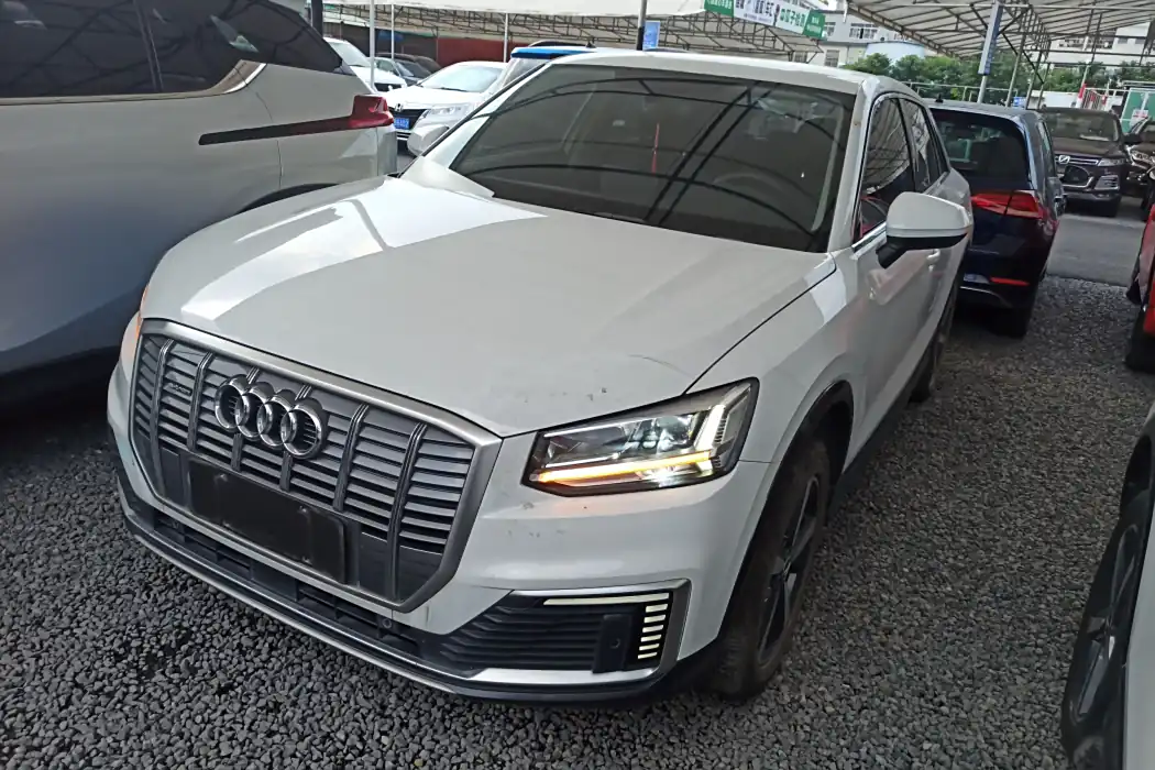 Audi Q2L e-tron 2019 Q2L e-tron pure electric smart cool type