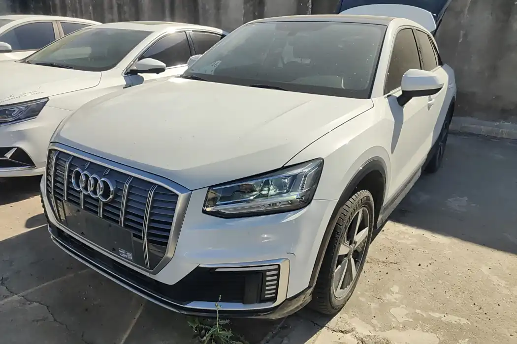 Audi Q2L e-tron 2019 Q2L e-tron pure electric smart enjoyment type