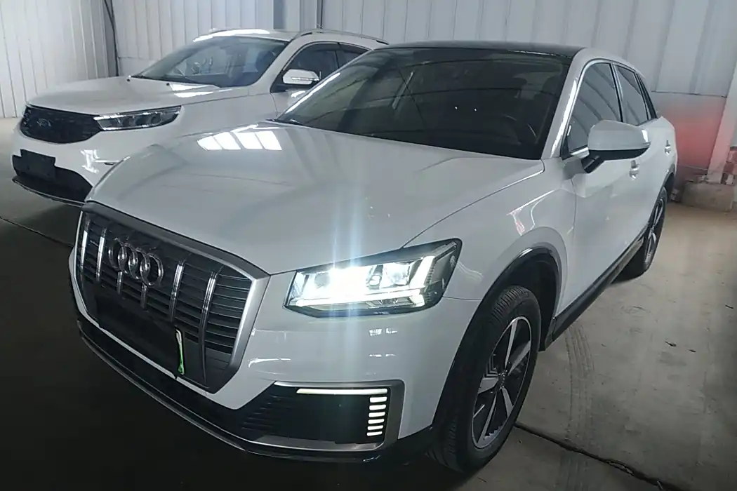 Audi Q2L e-tron 2019 Q2L e-tron pure electric smart enjoyment type