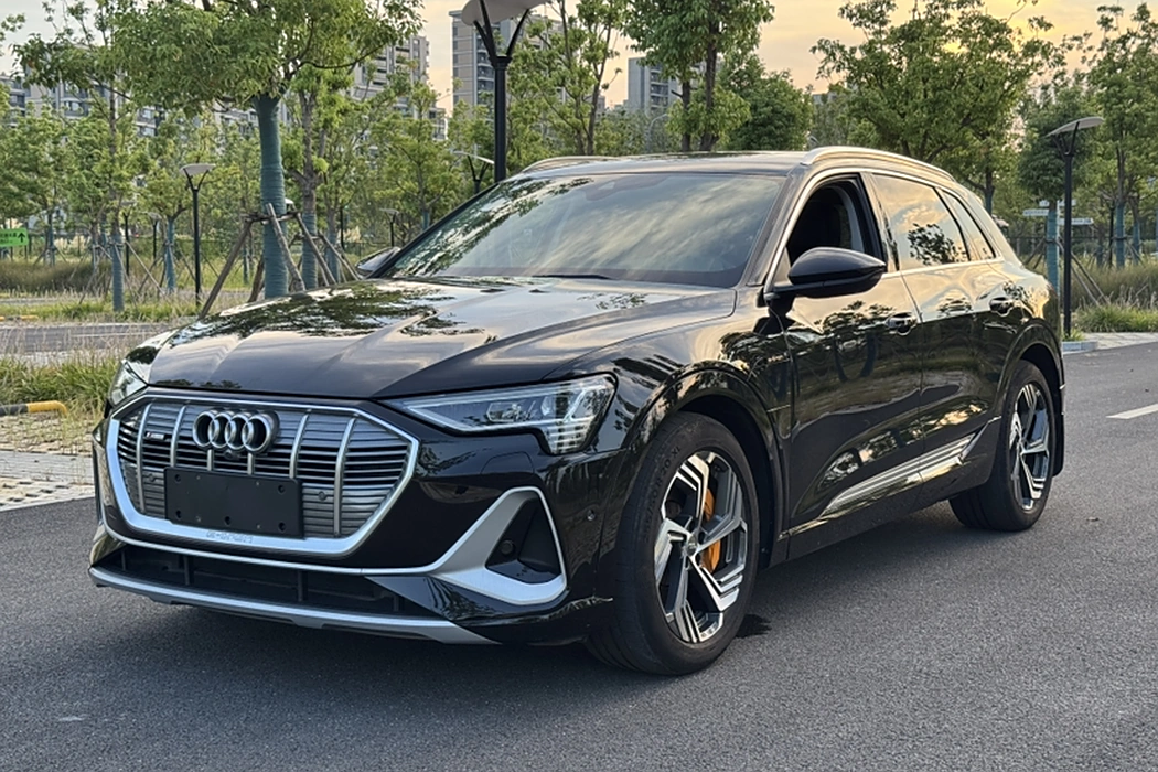 Audi e-tron 2021 50 quattro Pegasus