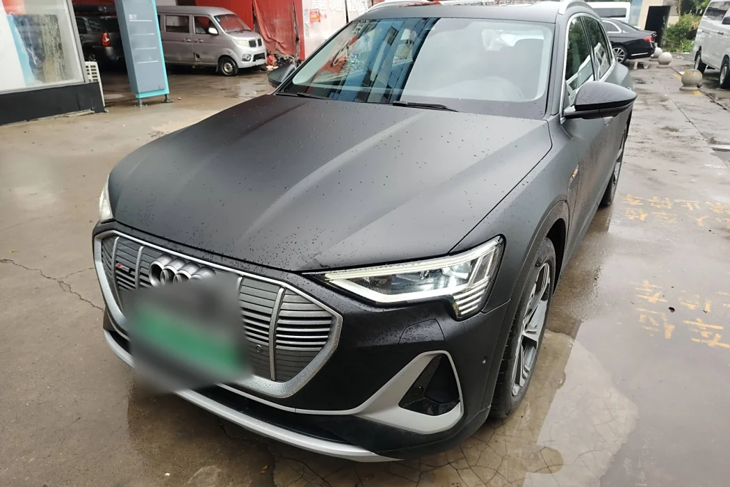 Audi e-tron 2021 50 quattro Pegasus
