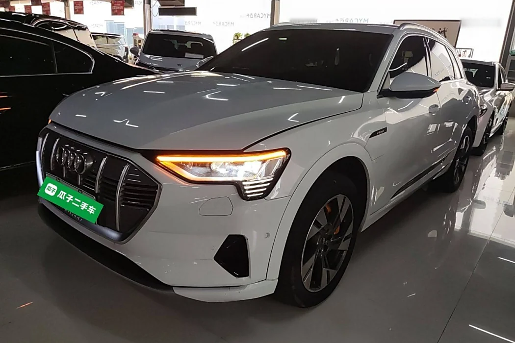 Audi e-tron (import) 2019 55 quattro stylish