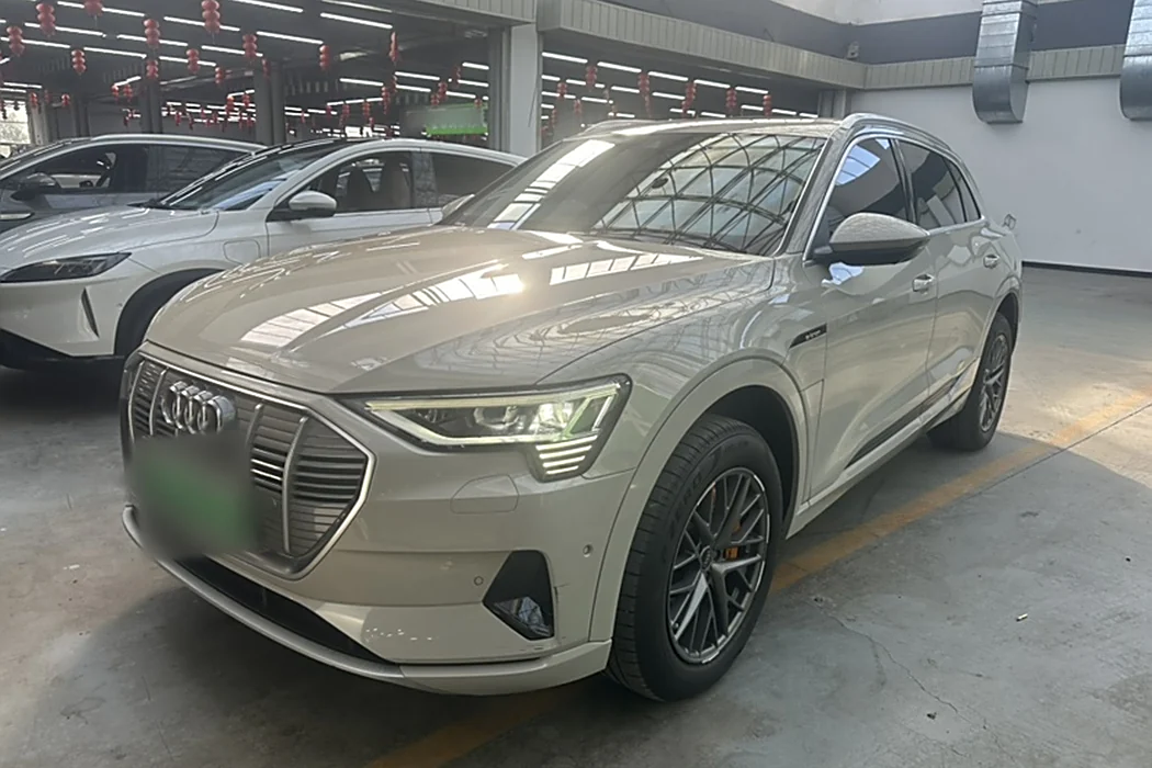 Audi e-tron (import) 2019 55 quattro stylish