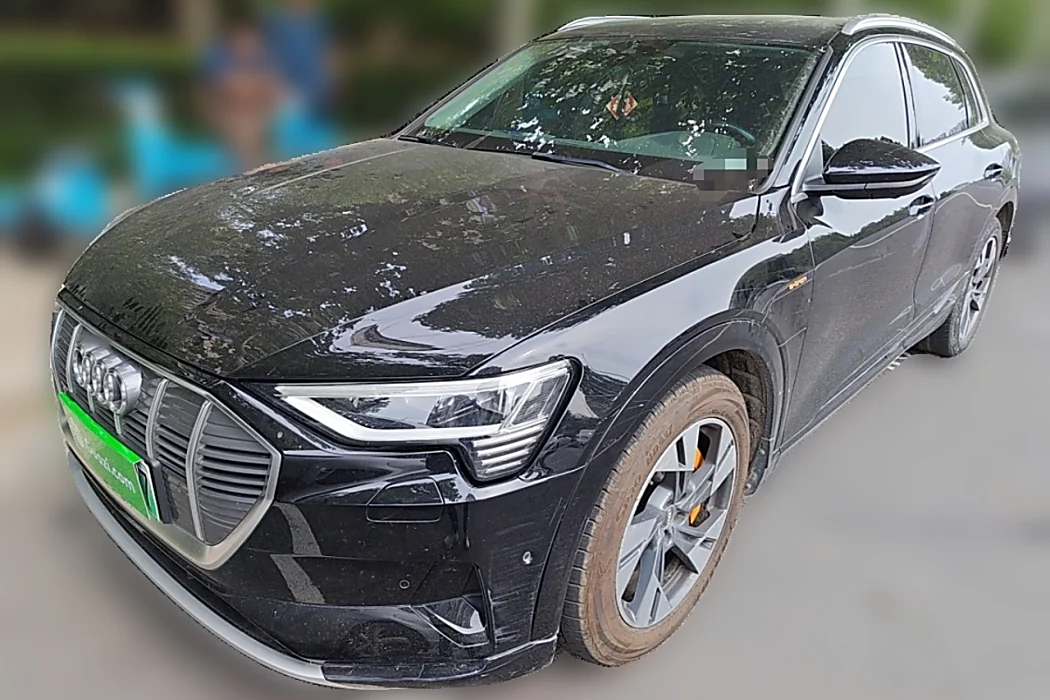 Audi e-tron (import) 2019 55 quattro stylish