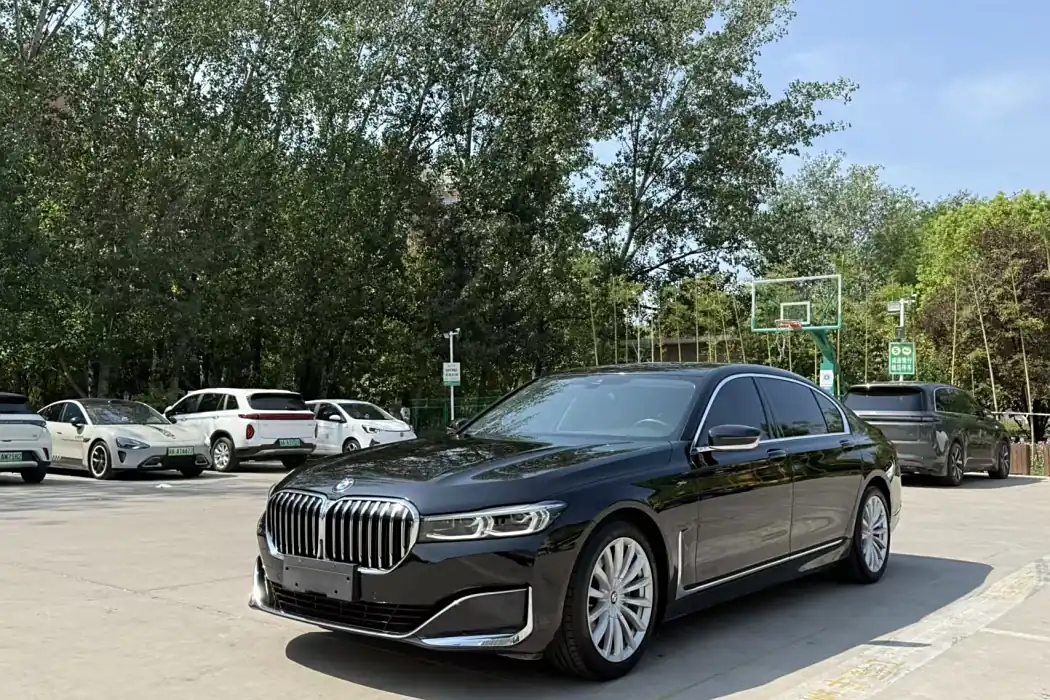 BMW 7 Series 2019 Modified 730Li Luxury Package