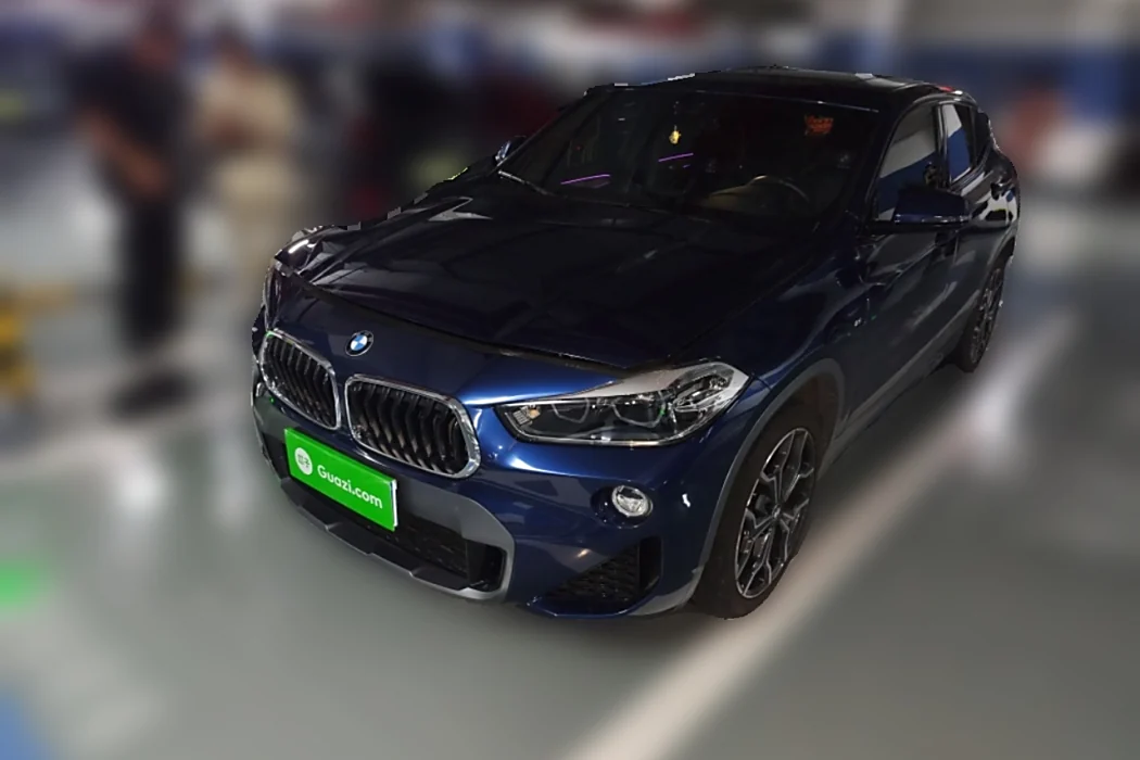 BMW X2 (Import) 2019 sDrive25i Premium M Off-Road Package State VI