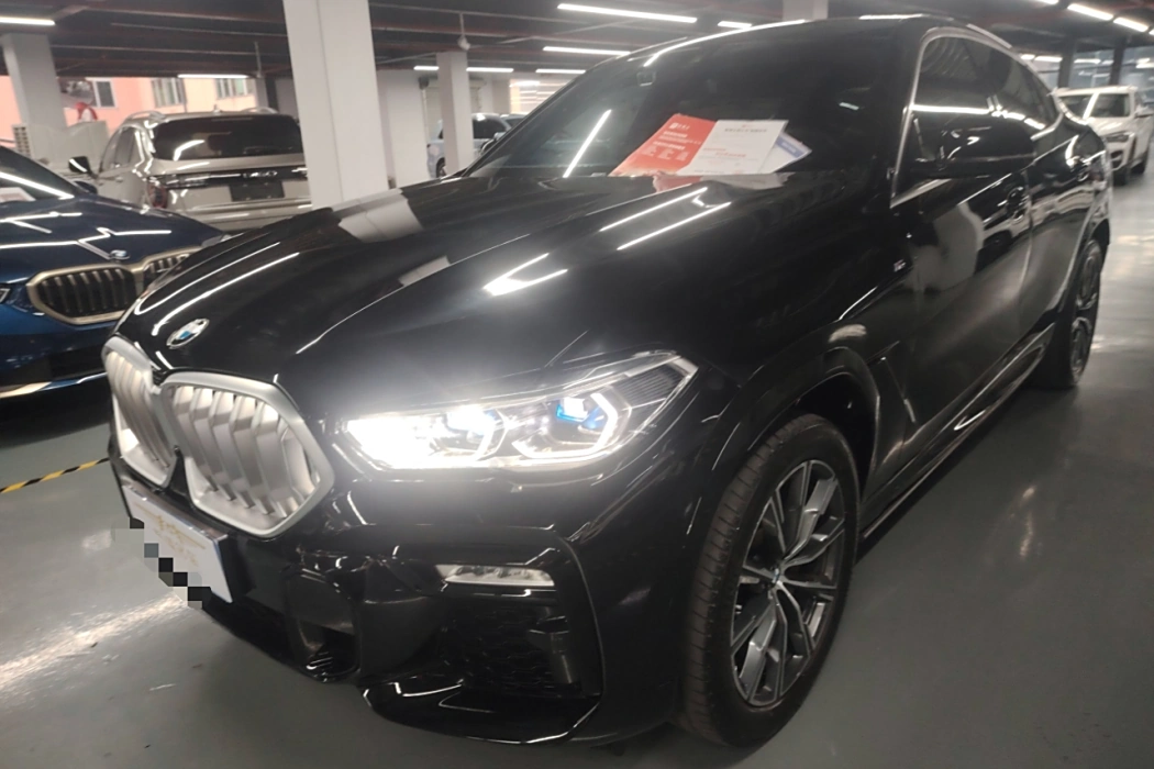 BMW X6 2020 xDrive30i M Sport Package
