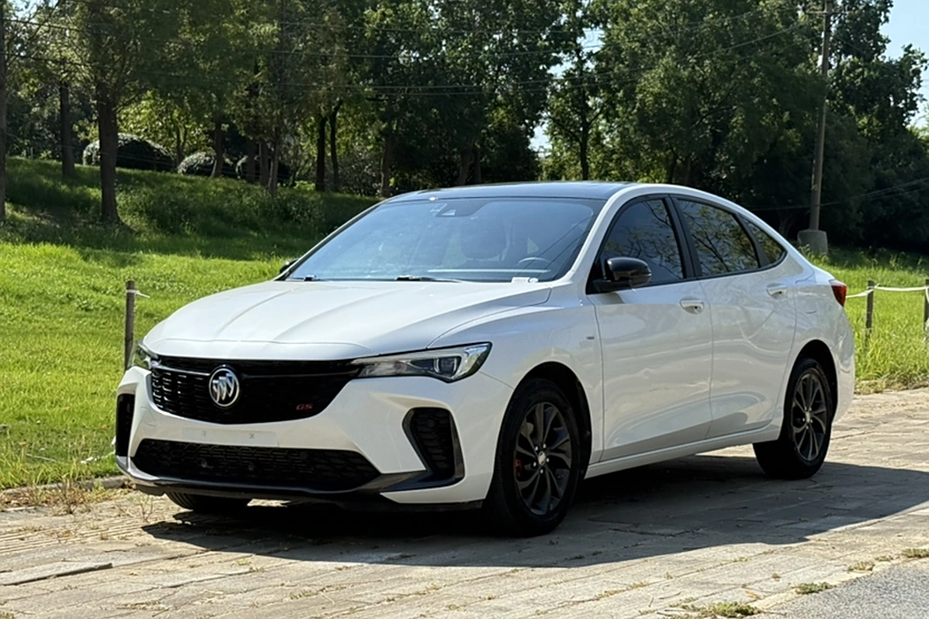 Buick Weilang 2023 Pro GS Hunting Wind Edition