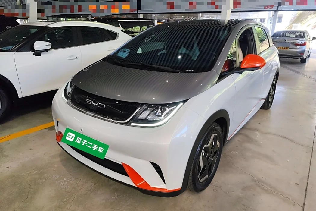 BYD Dolphin 2021 405km Fashion Version