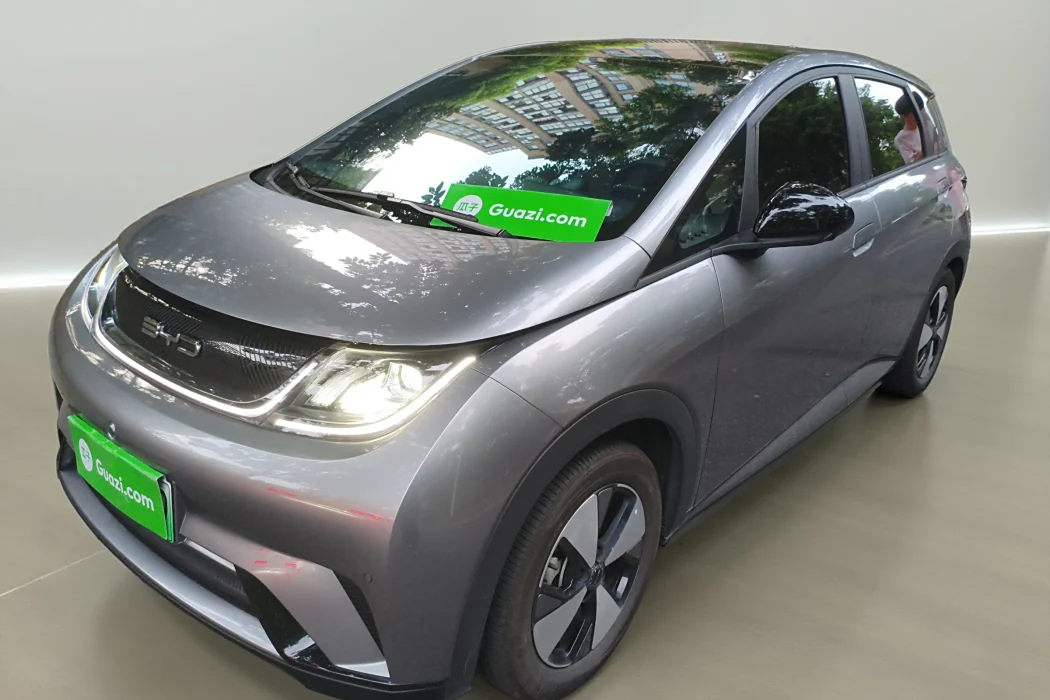 BYD Dolphin 2023 420km Fashion Version