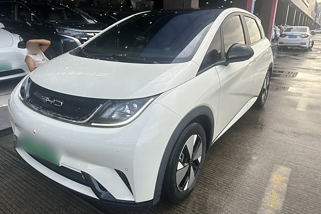 BYD Dolphin 2023 420km Fashion Version