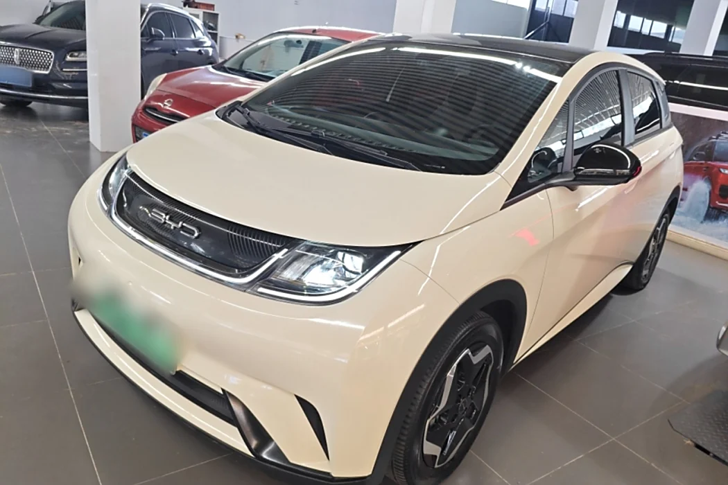 BYD Dolphin 2021 405km Fashion Version