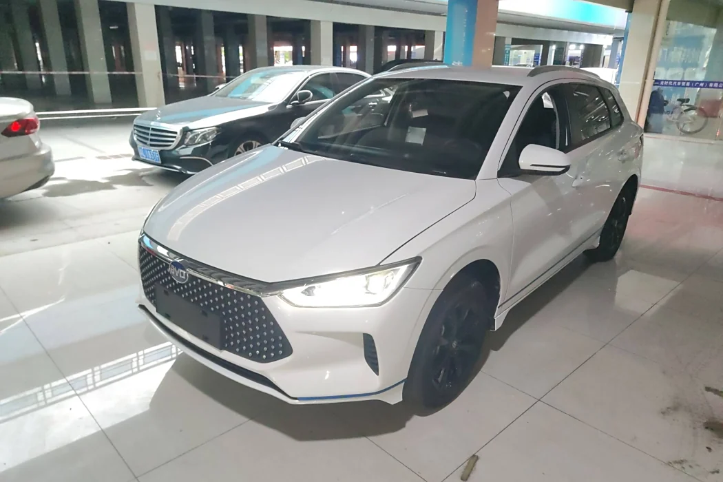 BYD e2 2019 High Range Edition Yew-Luxury