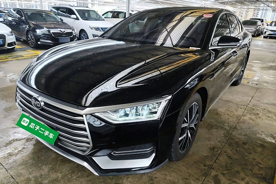 BYD e9 2021 Business Edition