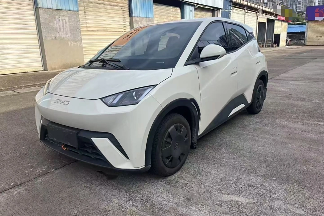 BYD Seagull 2024 Glory Edition 305km Vitality Edition
