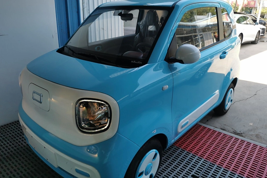Pentium Pony 2025 222km Smart Horse
