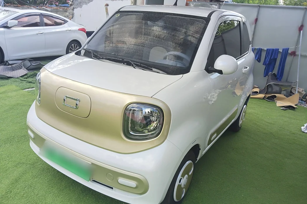 Pentium Pony 2025 222km Smart Horse