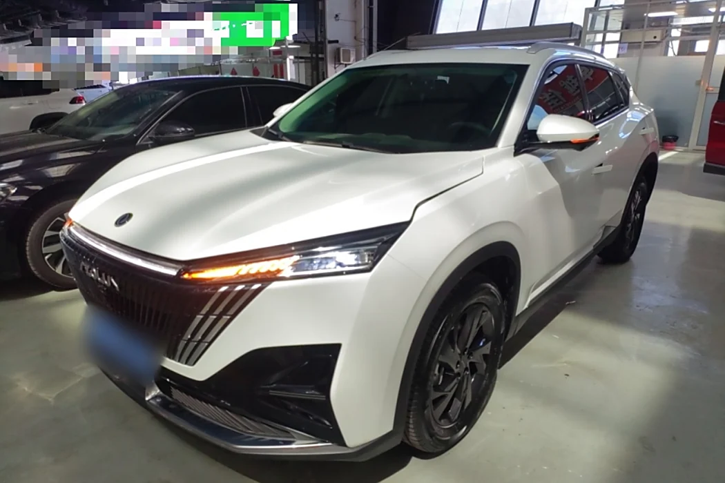 Dongfeng Fengshen Haohan 2025 1.5T Luxury