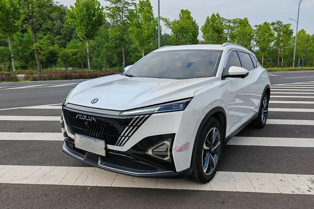 Dongfeng Fengshen Haohan 2023 DH-i 1.5T Deluxe Edition