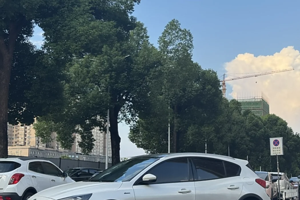 Ford Focus Active 2020 EcoBoost 180 Automatic Jinyao Type