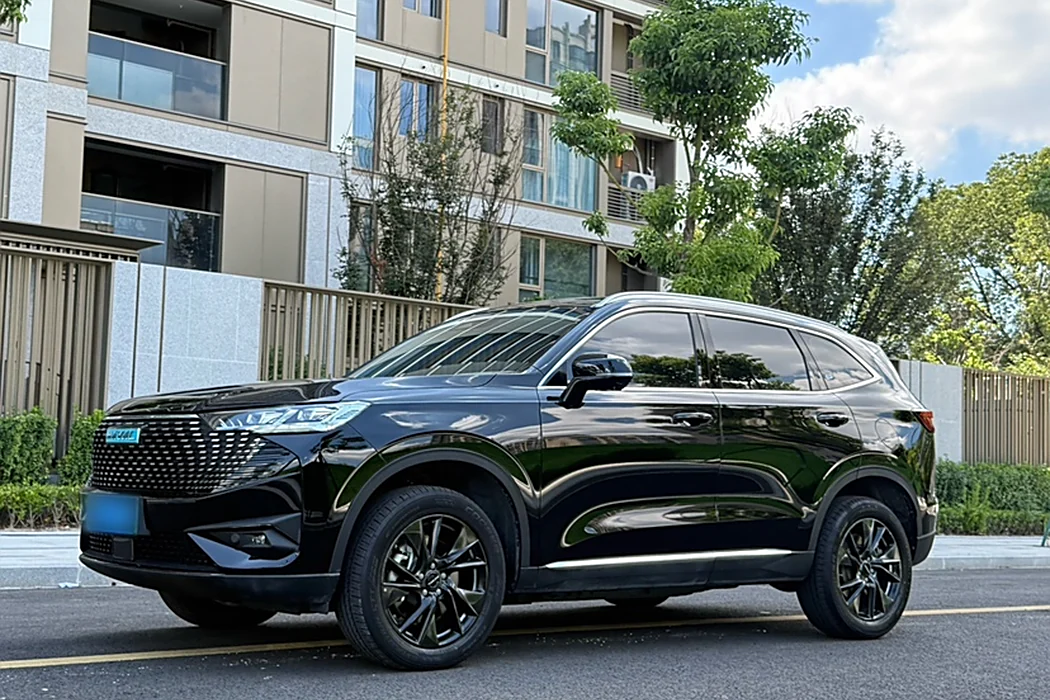 HAVER H6 NEW ENERGY 2023 DHT-PHEV 110KM Smooth Travel Edition