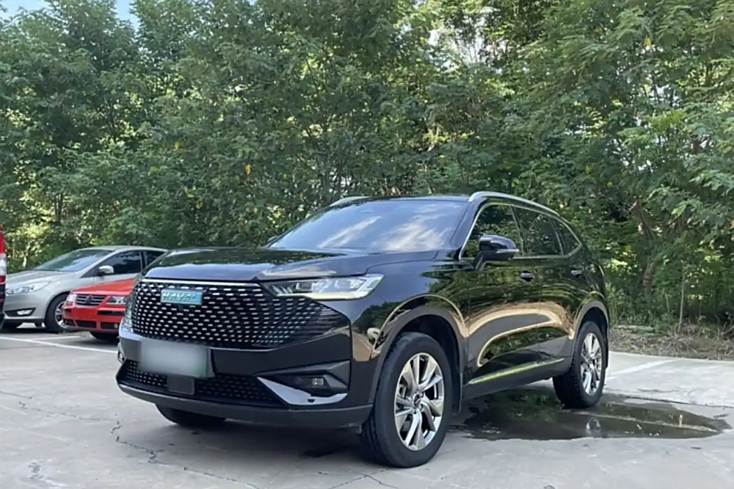 HAVER H6 NEW ENERGY 2023 DHT-PHEV 110KM Smooth Travel Edition
