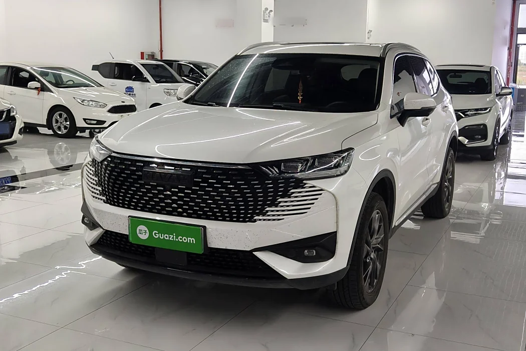 HAVER H6 NEW ENERGY 2023 DHT-PHEV 110KM LOVE VERSION