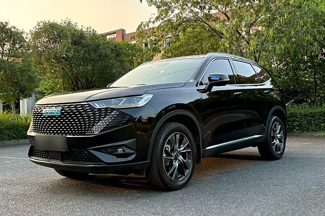 HAVER H6 NEW ENERGY 2023 DHT-PHEV 110KM LOVE VERSION