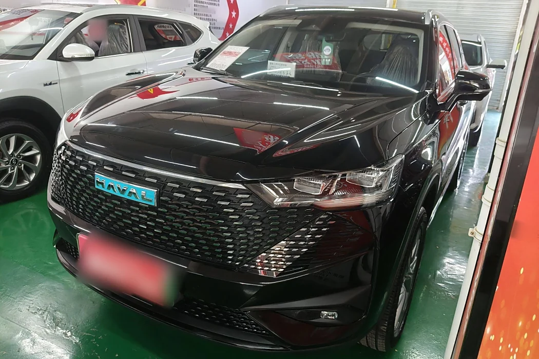 HAVER H6 NEW ENERGY 2023 DHT-PHEV 110KM LOVE VERSION