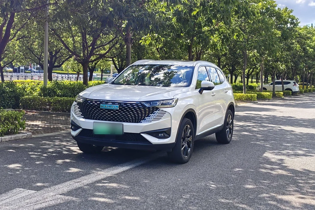 HAVER H6 NEW ENERGY 2023 DHT-PHEV 110KM LOVE VERSION