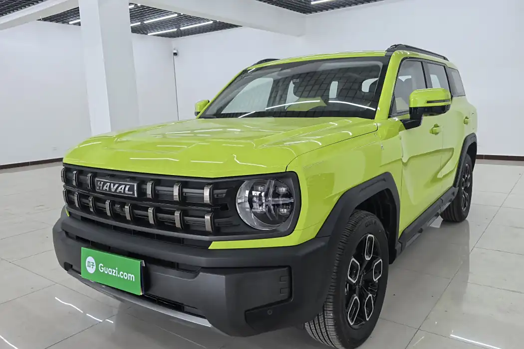 Havoc Cool Dog 2022 1.5T DCT 4WD Tide Wild Edition