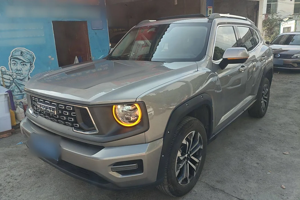 Havoc II Big Dog 2023 2.0T 2WD Tide Wild Plus