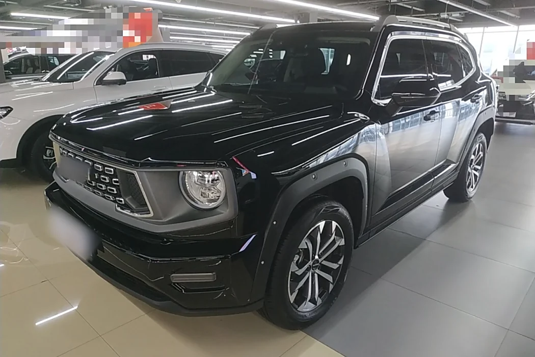 Havoc II Big Dog 2023 2.0T 2WD Tide Wild Plus