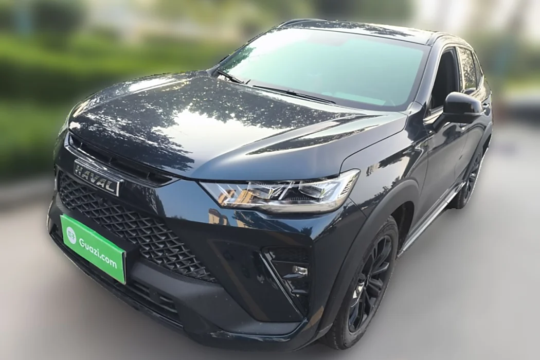 Haval H6S 2022 2.0T 2WD Pleasure Edition