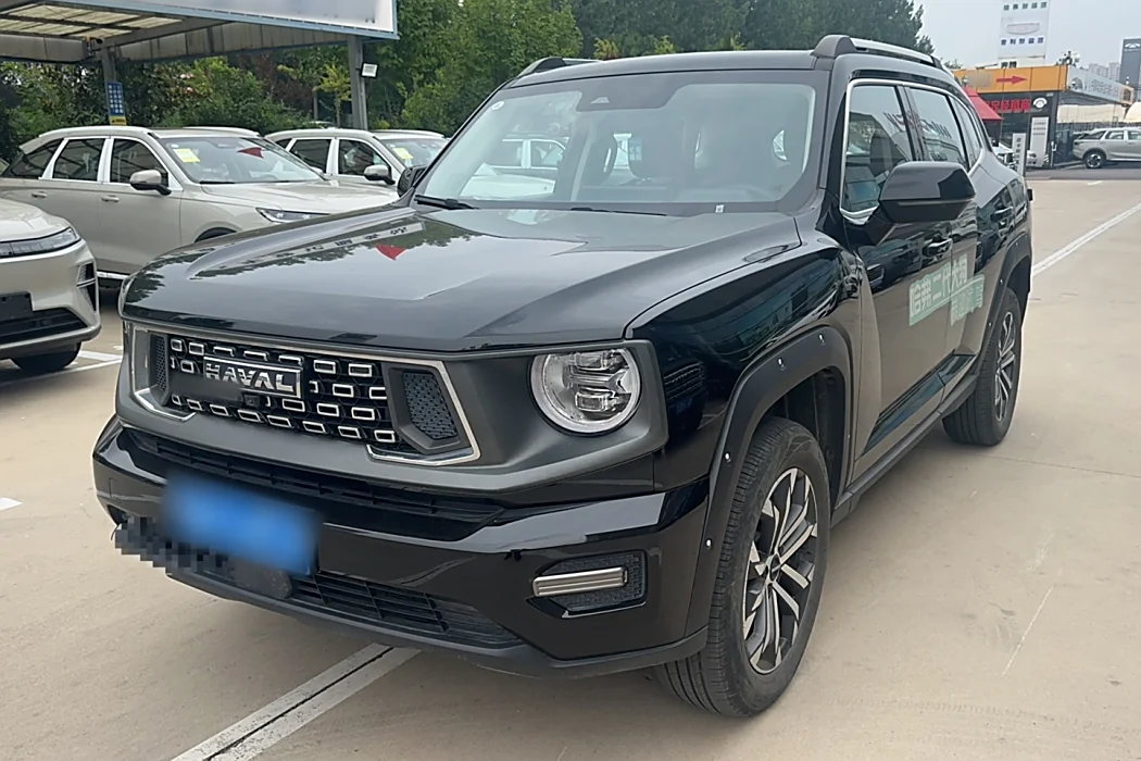 Havoc II Big Dog 2023 2.0T 2WD Tide Wild Plus