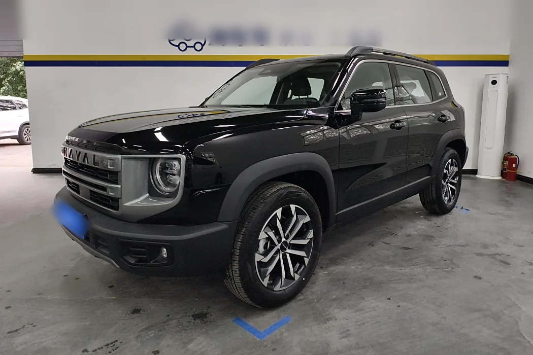Haval Big Dog 2024 1.5T DCT Border Shepherd Version