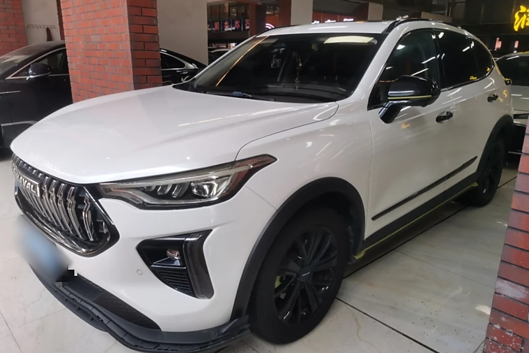 Havalanche 2021 Excite Edition 1.5T Golden Rabbit
