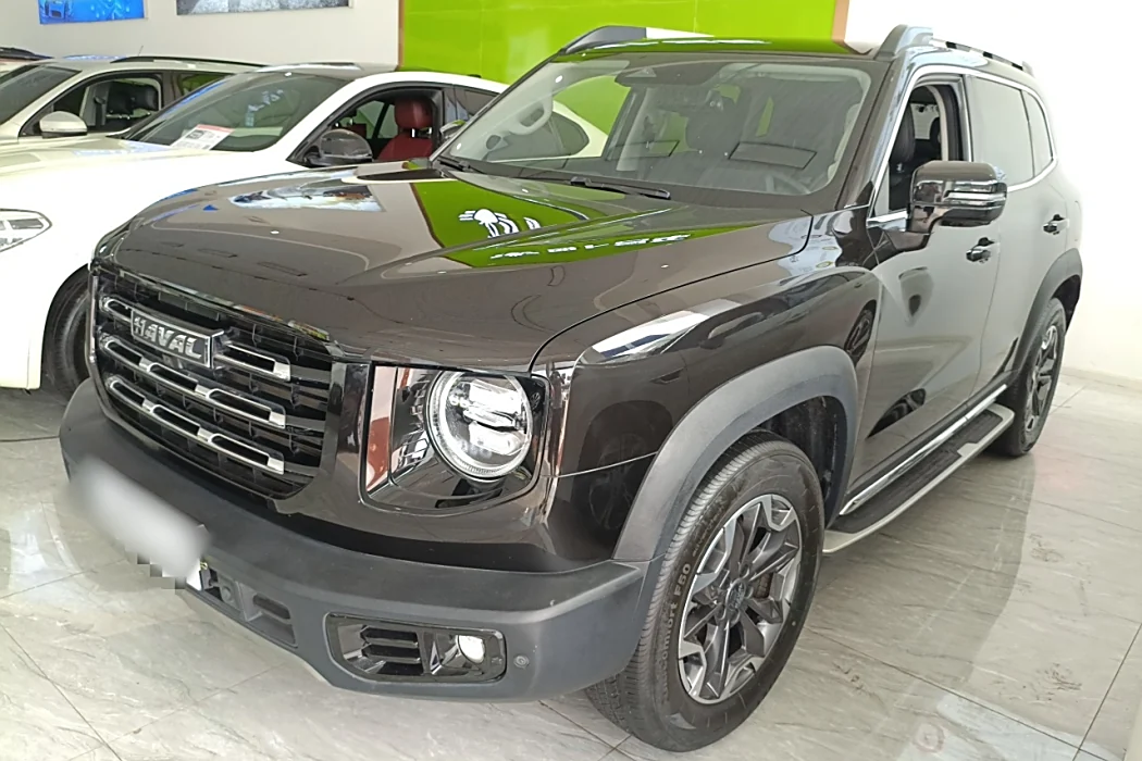 Havoc Big Dog 2021 2.0T DCT 4WD Chinese Garden Dog Edition